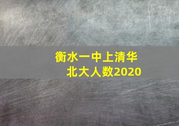 衡水一中上清华北大人数2020