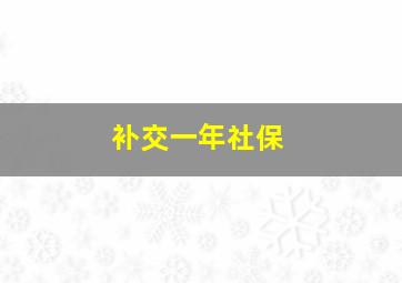 补交一年社保