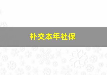 补交本年社保