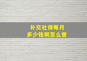 补交社保每月多少钱啊怎么查