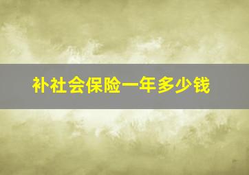 补社会保险一年多少钱