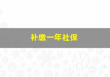 补缴一年社保