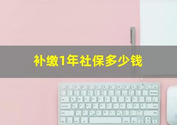 补缴1年社保多少钱