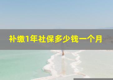 补缴1年社保多少钱一个月