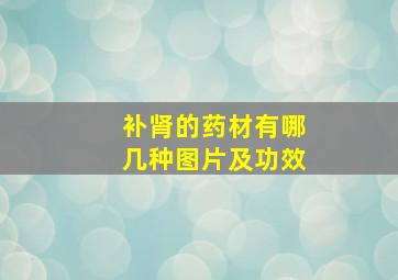 补肾的药材有哪几种图片及功效