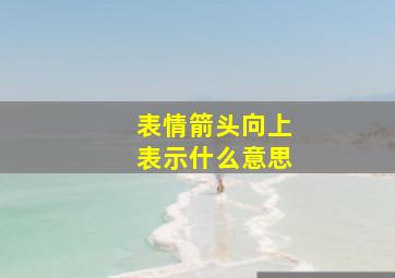 表情箭头向上表示什么意思