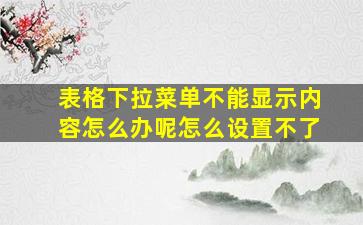 表格下拉菜单不能显示内容怎么办呢怎么设置不了