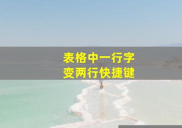 表格中一行字变两行快捷键