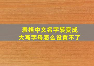 表格中文名字转变成大写字母怎么设置不了