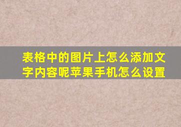 表格中的图片上怎么添加文字内容呢苹果手机怎么设置