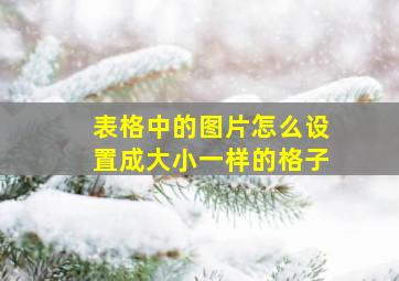 表格中的图片怎么设置成大小一样的格子