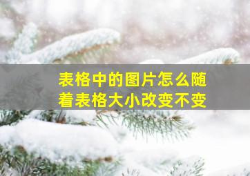 表格中的图片怎么随着表格大小改变不变