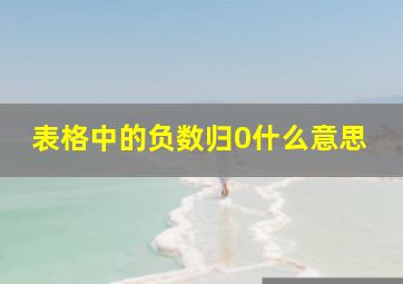 表格中的负数归0什么意思