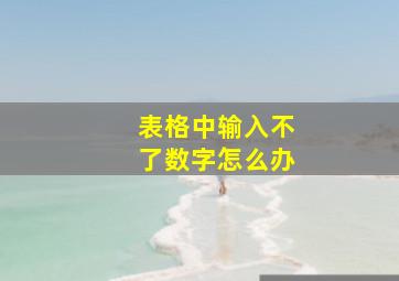 表格中输入不了数字怎么办