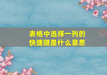 表格中选择一列的快捷键是什么意思