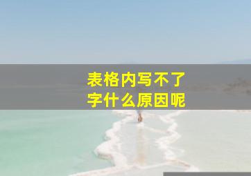 表格内写不了字什么原因呢