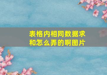 表格内相同数据求和怎么弄的啊图片