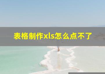 表格制作xls怎么点不了