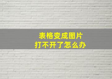 表格变成图片打不开了怎么办