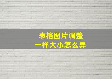 表格图片调整一样大小怎么弄