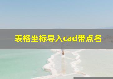 表格坐标导入cad带点名