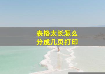 表格太长怎么分成几页打印