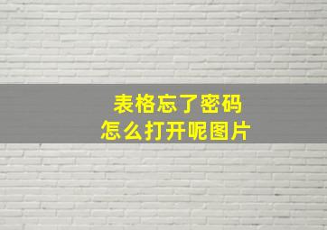 表格忘了密码怎么打开呢图片