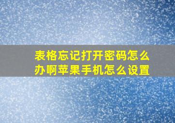 表格忘记打开密码怎么办啊苹果手机怎么设置