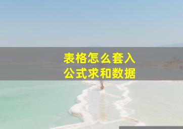 表格怎么套入公式求和数据