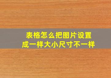 表格怎么把图片设置成一样大小尺寸不一样