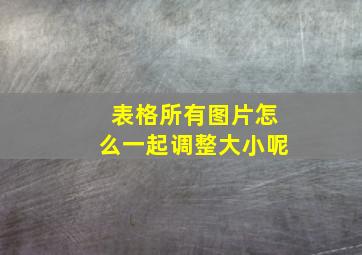 表格所有图片怎么一起调整大小呢