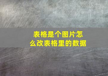 表格是个图片怎么改表格里的数据