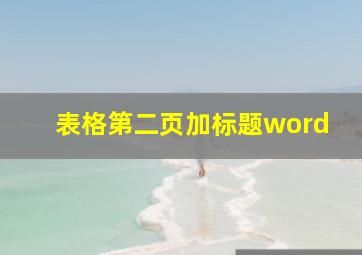 表格第二页加标题word