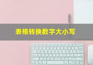 表格转换数字大小写