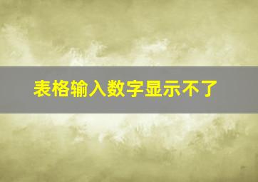 表格输入数字显示不了