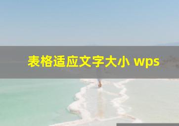 表格适应文字大小 wps