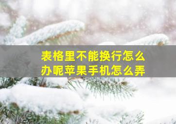 表格里不能换行怎么办呢苹果手机怎么弄