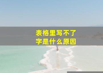 表格里写不了字是什么原因