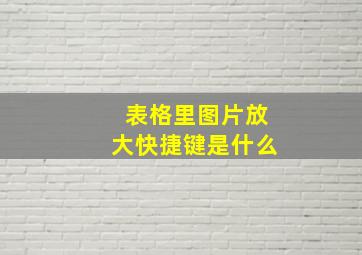 表格里图片放大快捷键是什么