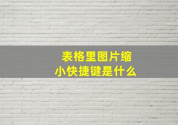 表格里图片缩小快捷键是什么