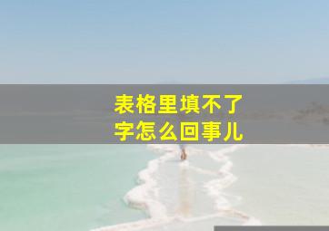 表格里填不了字怎么回事儿