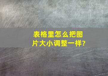 表格里怎么把图片大小调整一样?