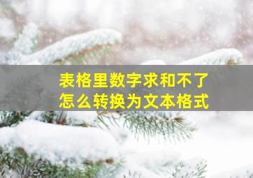 表格里数字求和不了怎么转换为文本格式