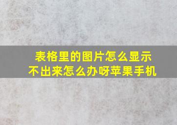 表格里的图片怎么显示不出来怎么办呀苹果手机