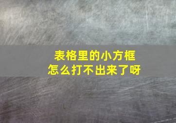 表格里的小方框怎么打不出来了呀