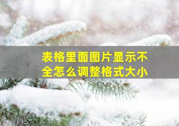 表格里面图片显示不全怎么调整格式大小