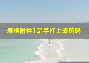 表格附件1是手打上去的吗