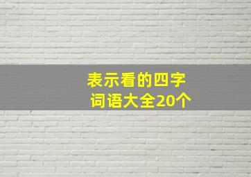 表示看的四字词语大全20个