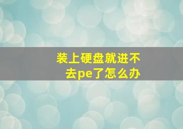 装上硬盘就进不去pe了怎么办