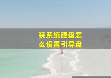 装系统硬盘怎么设置引导盘